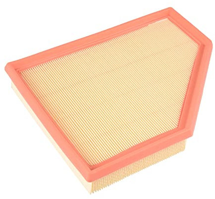 BLUE PRINT ADBP220038 Filtro aria motore Cartuccia filtro