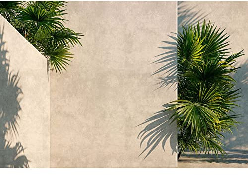 BRICOFLOR | 3D Fototapete mit Palmen | Dreidimensionale Tapete in Betonoptik mit Palmenblättern | Ausgefallene Vliestapete in Beige Grün für Büro und Küche
