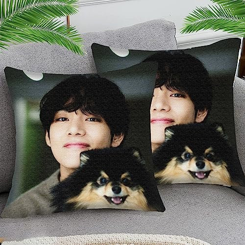 OfFsum 2er Set Kissenbezüge Baumwolle und Leinen Dekokissen Kissenbezug BTS Boy sty86 Sofakissen Dekorativ Couchkissen Kissenhülle für Wohnzimmer Schlafzimmer 45x45 cm