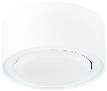 Licht-Erlebnisse Aufbaustrahler Metall Weiß für Wohnzimmer Schlafzimmer GX53 max. 12 W Zeitlos blendarm kleine Deckenleuchte Spot Flur FLEA