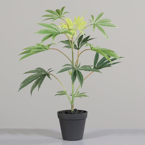 mucplants Künstliche Cannabis Pflanze im Topf, Grün, 55 cm Höhe, Dekorative Zimmerpflanze mit 10x11 cm Kunststofftopf