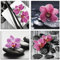 ARTland Wanddeko Glasbilder Wandbild Glas Bild Set 4 teilig je Quadratisch Asien Wellness Zen Spa Blumen Orchideen Steine Entspannung Pink S6MO