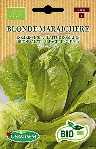 Germisem Bio Graines Laitue Romaine BLONDE MARAICHERE