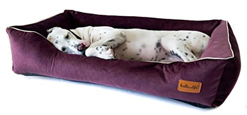 Halkalife Hundebett mit hohen Seiten – abnehmbar & waschbar – bequemes Hundesofa aus Velours für alle Größen (L (100x70x18 cm), Pflaume)