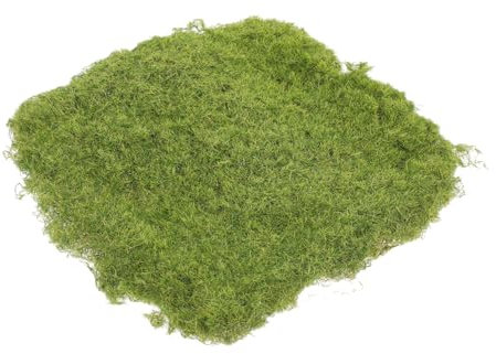 MINAOLULUS Realistische Künstliche Grasmatte Für Garten Balkon Und Terrassen Wetterfest Langlebig Pflegeleicht Für Dekoration Und Kreative Projekte