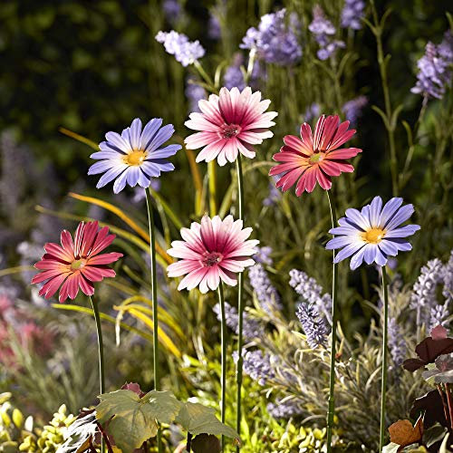 Garden Gear Metal Daisy Stakes, Decorative Multicolored Ornament, Outdoor Novelty Flowers for Pathways, Patios & Borders, Height 57cm (Purple)