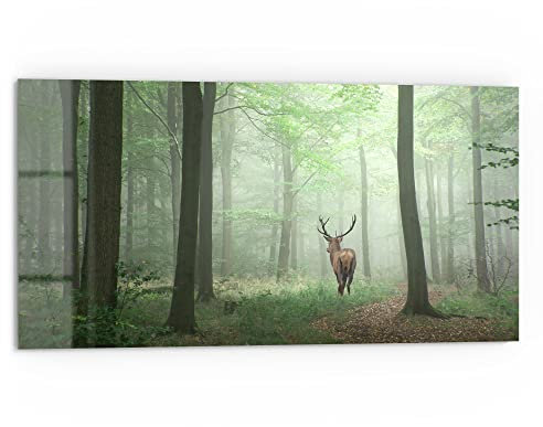 DEQORI Küchenrückwand Glas | Motiv Hirsch zwischen Bäumen | 80x40 cm | Bad- oder Herd-Rückwand | Herdblende Spritzschutz für Küche & Badezimmer | moderne Deko für Fliesenspiegel