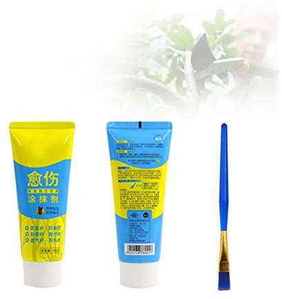 Bonsai -Pfarrpaste Pflanze Wundheilmittel mit Pinselschneiderpaste (100 g)