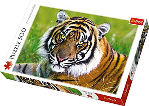 Puzzles - 500 - Tiger