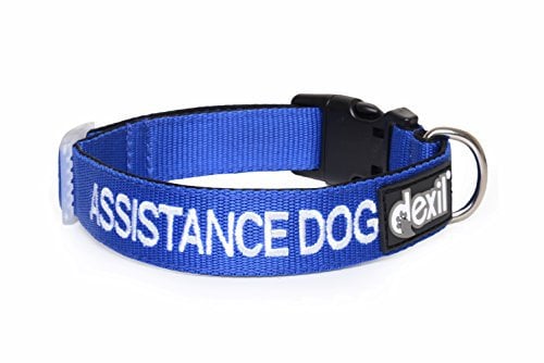 ASSISTANCE DOG Colour Coded S-M L-XL Dog Collars PREVENTS Accidents By Warning Others Of Your Dog In Advance (L-XL)