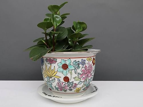 Yajutang China Porzellan Blumentopf Weiß mit bunten Blumen Ø 23cm …