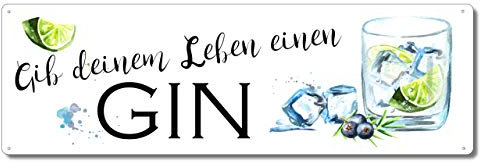 Interluxe Metallschild - Gib deinem Leben einen Gin - Schild als Geschenk oder Dekoration für Cocktailbar, Party, Barmixer, Partykeller