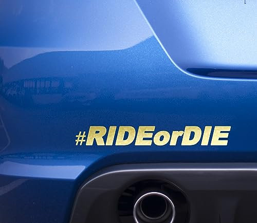Ride or Die Aufkleber | Autoaufkleber Tuning Fahranfänger Menschen Fahrzeugzubehör Gadget Heckscheibe Führerschein Tuningcar Zubehör (gold matt)