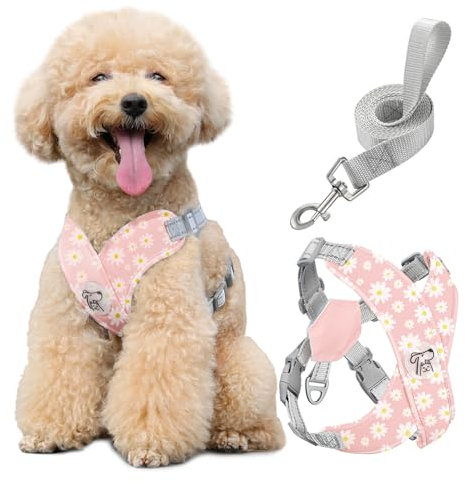 Pawaboo Hundegeschirr mit Hundeleine Set, X-Rahmen Verstellbares Anti Zug Anti-Erstickung Hund Brustgeschirr für Kleine, Mittelgroße Hunde & Welpen, Hundeweste mit Leine, M, Rosa Gänseblume