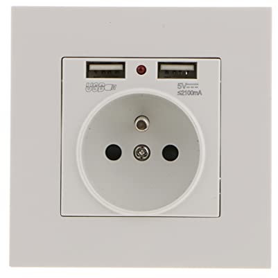 Sharplace Prise Encastrable Electrique Murale avec Double USB 5V/2100mA, avec 2 Ports Pratique et Manialble