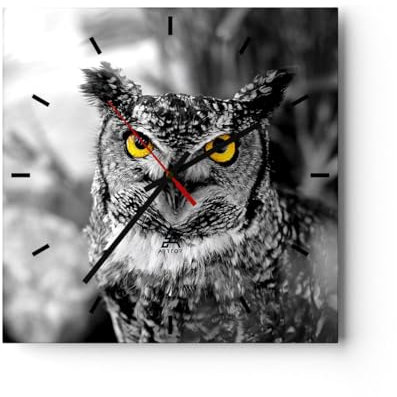 Modern Wanduhr Eule Vogel Natur 40x40cm Quadrat Groß Wand Uhr Glas Analog Zimmeruhren Küche Büro Wohnzimmer Glasuhr Wall Clock Dekoration Design Wanddekoration Küchenuhr C3AC40x40-1318