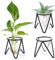 Jspupifip Glas-Pflanzen-Terrarium mit Metallständer, Luftpflanzenhalter, Hydrokultur-Pflanzenvasen, Desktop-Glühbirne, Glasvase für Zimmerpflanzen, Zuhause, Garten, Büro, Dekoration, Schwarz, 3 Stück