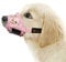 HEELE Dog Muzzle, Soft Nylon Breathable Muzzle with Vivid Prints & Adjustable Velcro Smooth Pad Comfy Muzzles for Puppy Small Medium Large Dogs, Stop Biting Barking and Chewing, Pink Flower, S