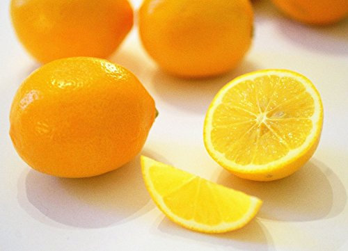 Limone Meyer (5 semi) THS fresco raccolto della stagione (succosa, delizioso)