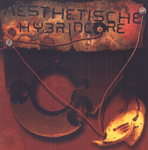 Aesthetische : Hybridcore