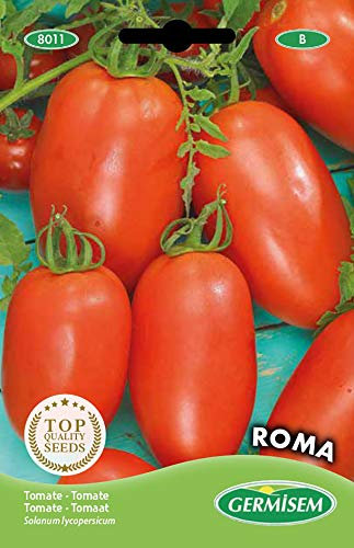 Germisem Tomate ROMA, mehrfarbig, EC8011