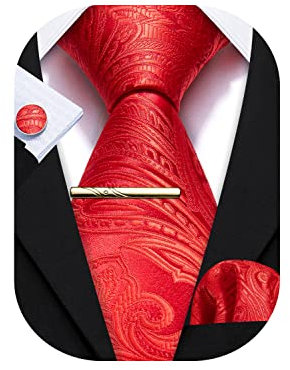 Barry.Wang Herren Krawatte Einfarbig Paisley Uni Schlips Satin Mit Einstecktuch Hochzeit Krawattenset