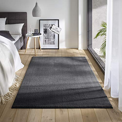 TacaHome Waschbarer Kurzflor Teppich Anti-Rutsch I Flauschiger Flachflor für Badezimmer Wohnzimmer Schlafzimmer Kinderzimmer Flur Läufer | 80 x 150 cm Anthrazit