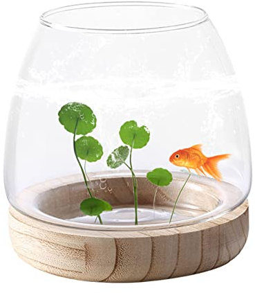 Kleine Aquarium Glas Aquarien Vase Fischglas Vasen hydroponische transparente Pflanzenvasen für Heim und Bürodekoration