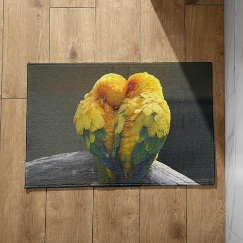 EHOMERY Alfombrilla Antideslizante para Alfombras Felpudo One Piece Loro Alfombra Plato de Ducha Antideslizante Grande Felpudo Entrada Casa Home 45x75cm,