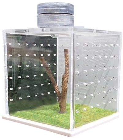 Sprungspinnen -Terrarium - hoher Glasspinnenlebensraum, sicheres belüftetes Gehäuse | Escape-Proof Mesh Deckel, abnehmbare Tür, anpassbare Inneneinrichtung, vertikaler Kletterraum, Anfängerfreundliche