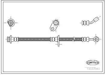 Corteco 19033560 Bremsschlauch hinten