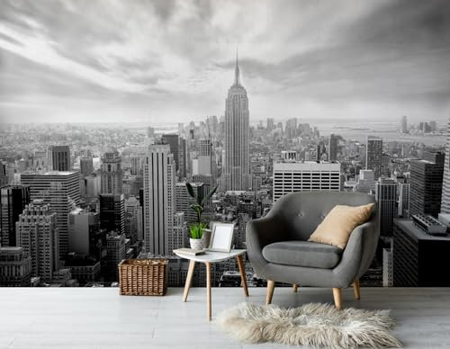 Nice walls Wall Mural SKYLINE NEW YORK BLACK & WHITE photo Wallpaper 254x183cm Cityscape