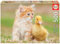 Educa 18467, Niedliche Freunde, 500 Teile Puzzle für Erwachsene und Kinder ab 10 Jahren, Katzenbaby, Entenküken, Tierpuzzle