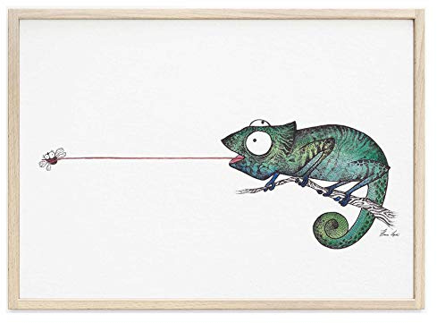 Ligarti Kunstdruck | hochwertiges Poster | Künstlerin Hanna Ligeti | (Fliegenfänger, A3)