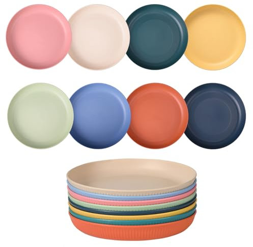 Qaixwuyi 8 piatti in plastica riutilizzabili, grandi piatti da campeggio, colorati, 22,7 cm, infrangibili, per insalata, pasta, feste, casa, attività all'aperto