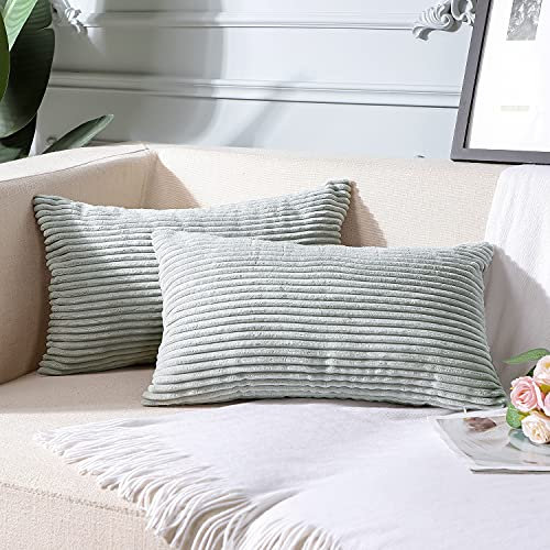 Artscope 2er-Set Dekorativ Kissenbezüge 30 x 50cm Kordsamt Reine Farbe Kissenbezug Weicher Plüsch Kissenhülle Set Kissen Fall für Sofa Auto Schlafzimmer Zuhause Zierkissenbezüge (Grau 30 x 50 cm)