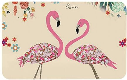 FZGGWYHL Tapis d'entrée lavable motif flamants roses et fleurs de diatomées 50 x 80 cm