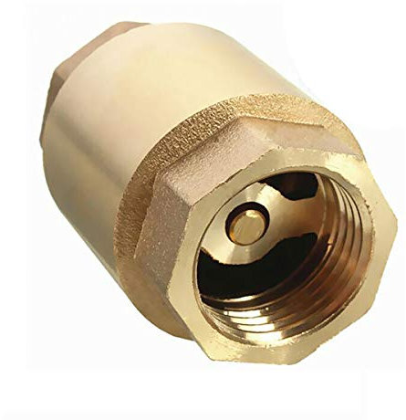 Clapet anti-retour à ressort 1,9 cm en laiton pour eau, huile, vapeur et autres supports (DN20)
