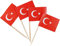 50 Stück * Flaggenpicker + Zahnstocher * für Party und Länderparty | Flag Picks Deko Dekoration Partydeko Fahne Flaggen Länder, Edition: Türkei