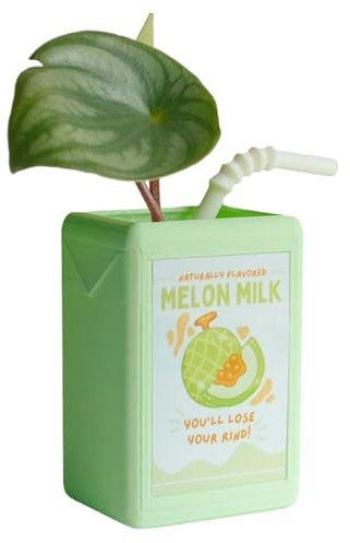 Fun Juice Box Vase- Cute Planter with Novel Design, Ideal Decorative Pen Holder, Storage Box, or Floral Pot