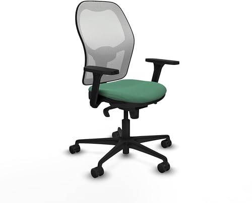 Piqueras y Crespo Bürostuhl mit fester Rückenlehne, 3D-Armlehnen, 1D Lendenwirbelstütze, 5-fach Synchronmechanik, für 8 Stunden Nutzung und maximales Gewicht von 120 kg, Farbe: