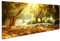 islandburner, Bild auf Leinwand Olivenbäume Garten. Mediterraner Olivenhain mit altem Olivenbaum Wandbild Leinwandbild Kunstdruck Poster 120x40cm - Panorama