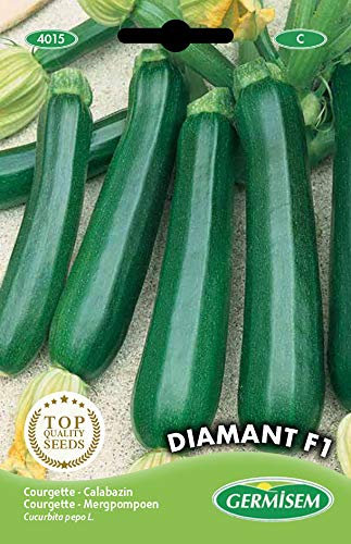 Germisem Diamant F1 Semillas de Calabacín 2 g (EC4015)