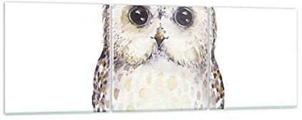 Mehrteilige Bilder auf Glas Eule Waldkauz Grafik Glasbild 90x30cm Wandbilder Dekoration Wohnzimmer Schlafzimmer Küche Set 3 teilige Klein Wanddeko Bild im Glas Wand Kunstdruck Art Modern GCA90x30-4229