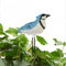 ZYWUOY Medidor de humedad del suelo, medidor de humedad en forma de pájaro, alarma de riego, probador de agua de plantas, higrómetro, sensor de humedad, alarma azul
