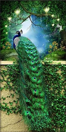 Diamond Painting Grüner Pfau Diamond Art Painting Full Zubehör, Diamant Painting Bilder Erwachsene Groß Stickerei Kreuzstich Kinder Diamant Malerei Art Craft Wanddekoration Gifts 40x80cm F-210