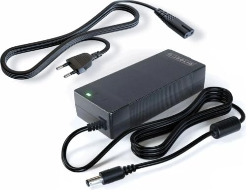GO SOLID! Caricabatterie compatibile con Fiido C11 Bicicletta Elettrica - 54.6V 2A