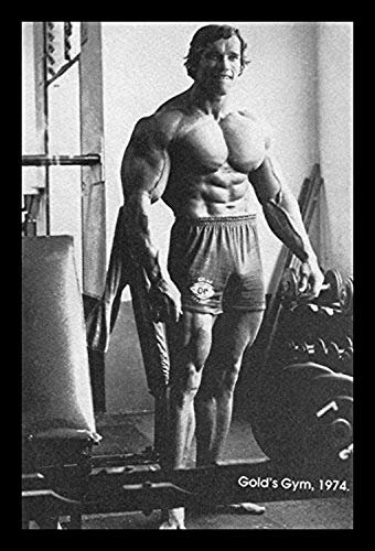 BUY ART FOR LESS Arnold Schwarzenegger Training – Gold's Gym 1974 Foto, 45,7 x 30,5 cm, Sport-Kunstdruck, Poster, Gewichtheben, Bodybuilding