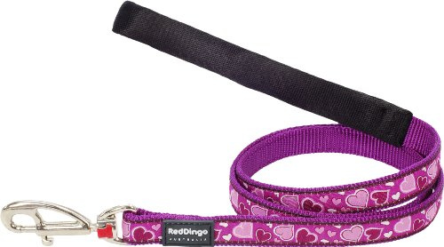 Red Dingo Designer Dog Lead, Breezy Love Purple (15mm x 1.2m) S