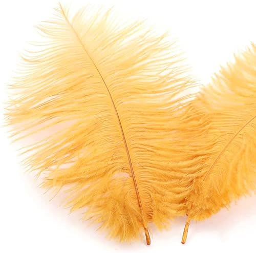 10 Stück 15-20cm Natürliche Straußenfedern,Strauß Feder zum Basteln,Bastel Federn für DIY Traumfänger Zubehör,Heimdekoration,KostüMe,Tischdeko Hochzeit Party Fest Hüte Kleidung Dekoration,Gold